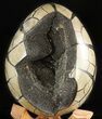 Septarian Dragon Egg Geode - Black Crystals #47475-1